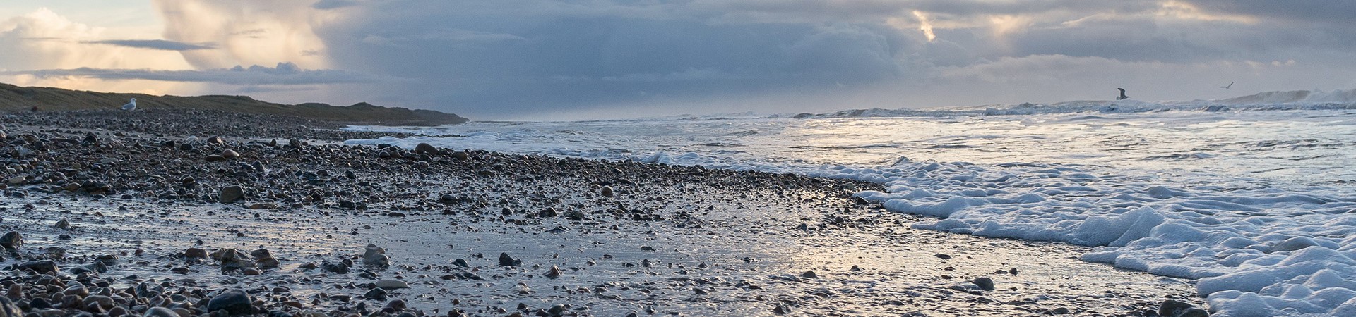 825stenbjerg-jan-2015_resize.jpg