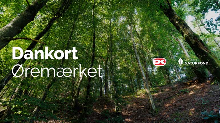 skov-oremaerke-dankort.jpg